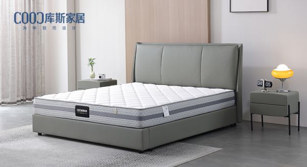 全屋整體家居 - 你更看重品牌還是實用性